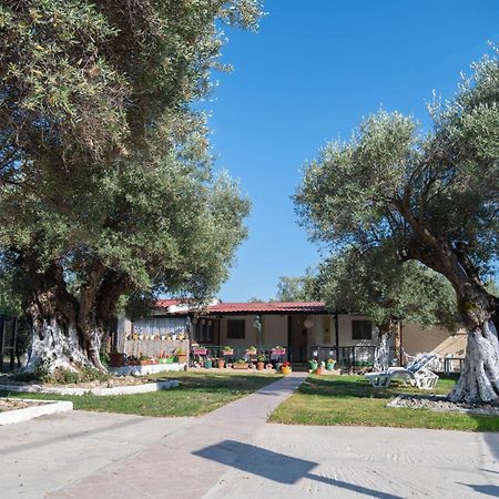 Dimitra'S Apartment Макри Экстерьер фото
